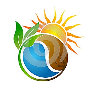 Sun,water,soil and plant