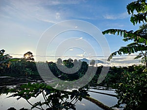 The sun will rise again