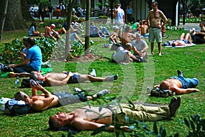Sunbathers in London Park