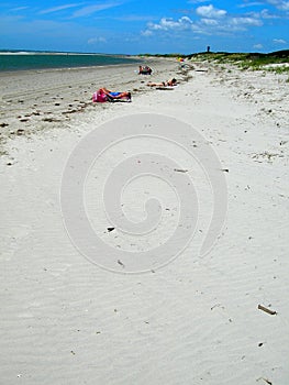 Sunbathers on sandy beach photo