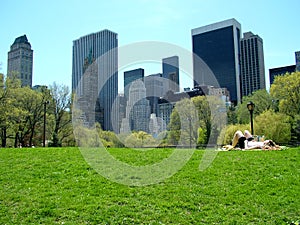 Sunbathing in central park