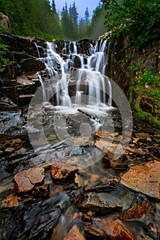 Sunbeam Creek waterfall, Mt Rainier National Park, WA