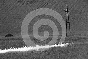 Sunbeam in field with utility pole