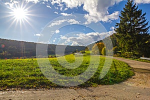 a sunbeam in the middle of a forest with trees and bushes on either side of the path and a bench in the middle