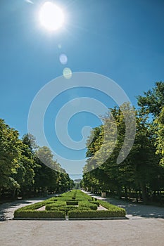 Sunbeam over pathway on green garden in a park of Madrid