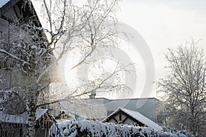 Sunbeam shining through tree branch near house in winter morning