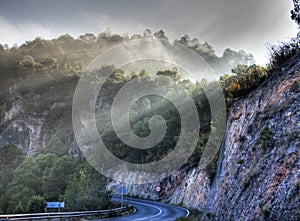Sunbeams through the fog by the road photo