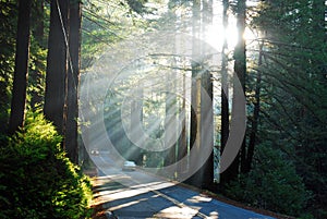 Sunbeams illuminating the road below