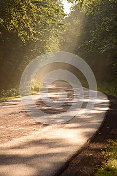 Sunbeams Through the Trees on a Country Road