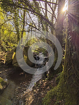 Sunbeams on the Vallcarquera creek