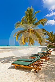 Sunbed on Maldives beach