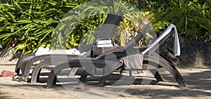 Sunbeds by the beach