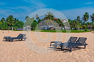 Sunbeds at Bentota beach, Sri Lanka