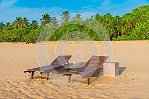 Sunbeds at Bentota beach, Sri Lanka