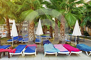 Sunbeds or deckchair and umbrellas under palm trees on tropical resort hotel territory