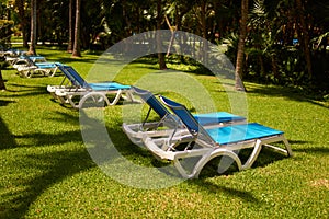 Sunbeds on green grass waiting for tourists. View at luxury resort hotel of tropical coast. Shadows from leaves of