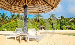 Sunbeds and palm tree umbrellas on a background of exotic palm trees, Maldives