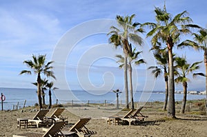 Sunbeds and palm trees in beach