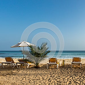 Sunbeds and umbrella on golden beach