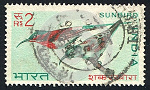 Sunbirds