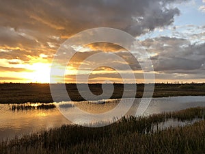 sunburst in the marsh