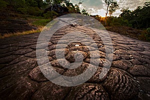 Suncrack geology in phu hin rongkla national park phitsanuloke thailand