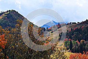 Sundance Mountain Resort. Beautiful tree fall colors.