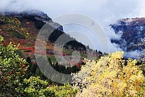 Sundance Mountain Resort. Beautiful tree fall colors. photo