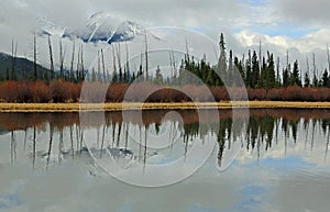 Sundance Peak behind forest