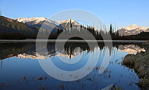 Sundance Peak and trees reflection
