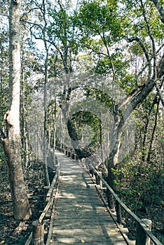 Sundarban Karamjal wooden walkway in Karamjal Wildlife Breeding Center