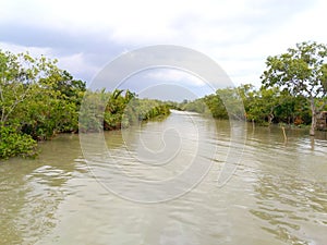 Sundarban -The queen of beauty, Khulna, Bangladesh