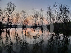 Sundarban sunset view