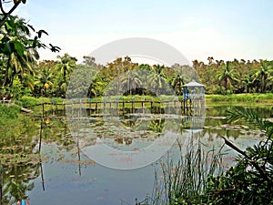 Sundarbans National Park, Bangladesh