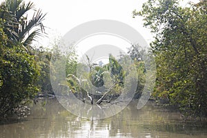 Sundarbans national park in Bangladesh