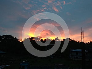 Sundawn under the trees