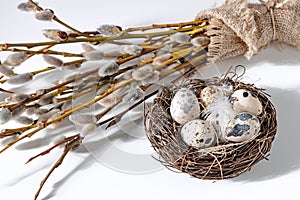 Sunday Easter background, quail eggs in a nest and a bunch of web twigs with fluffy buds on white, minimalism