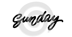 Sunday handwriting vector ink. Black on white. Brush-pen style lettering.