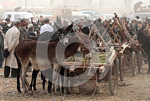 Sunday Market at Kashgar