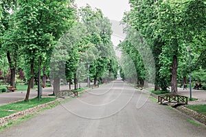 Sunday morning walk in the park in Cluj Napoca, Romania