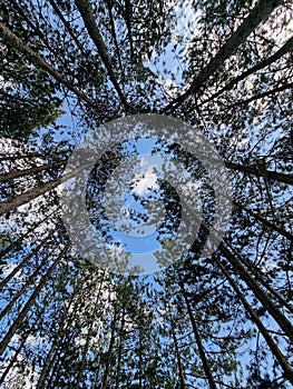 Sunday nature terapy