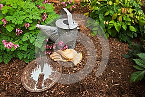 Sundial on Bark Mulch photo