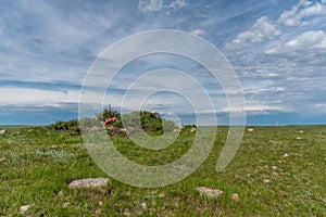 Sundial Hill Medicine Wheel, Southern Alberta