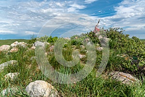 Sundial Hill Medicine Wheel, Southern Alberta