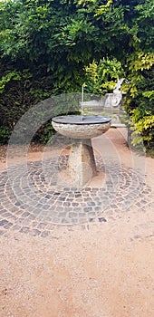 Sundial in an ivy covered park