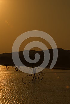 Sundown at an african lake