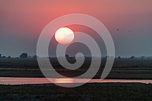 Sundown at the chobe river in Botswana in africa