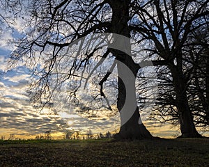 Sundown on a clearing in Germany