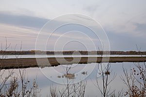 Sundown and sunrises. Blue sky with tints of purple and much clouds. Silhouettes of trees and grass are reflectioning in the river