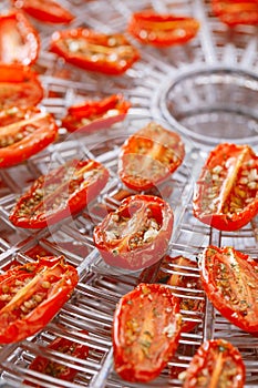 Sundried cherry tomatoes on food dehydrator tray photo